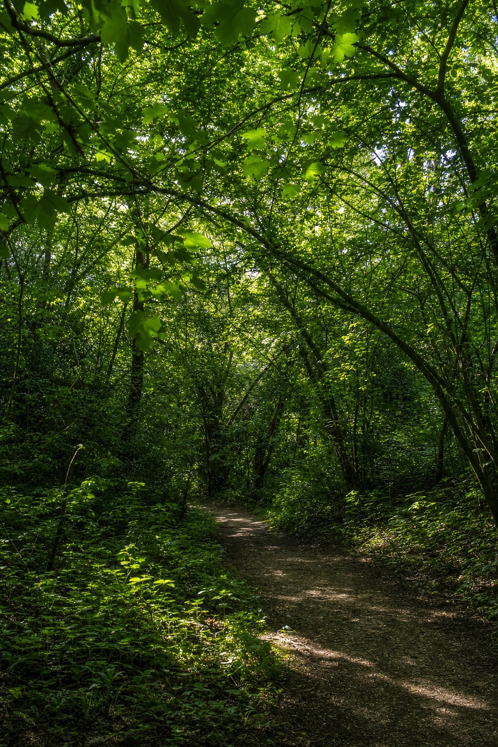 Achievement feels like sun filtering through leaves—fragmented, uneven, yet distinctly real in the spaces it touches.