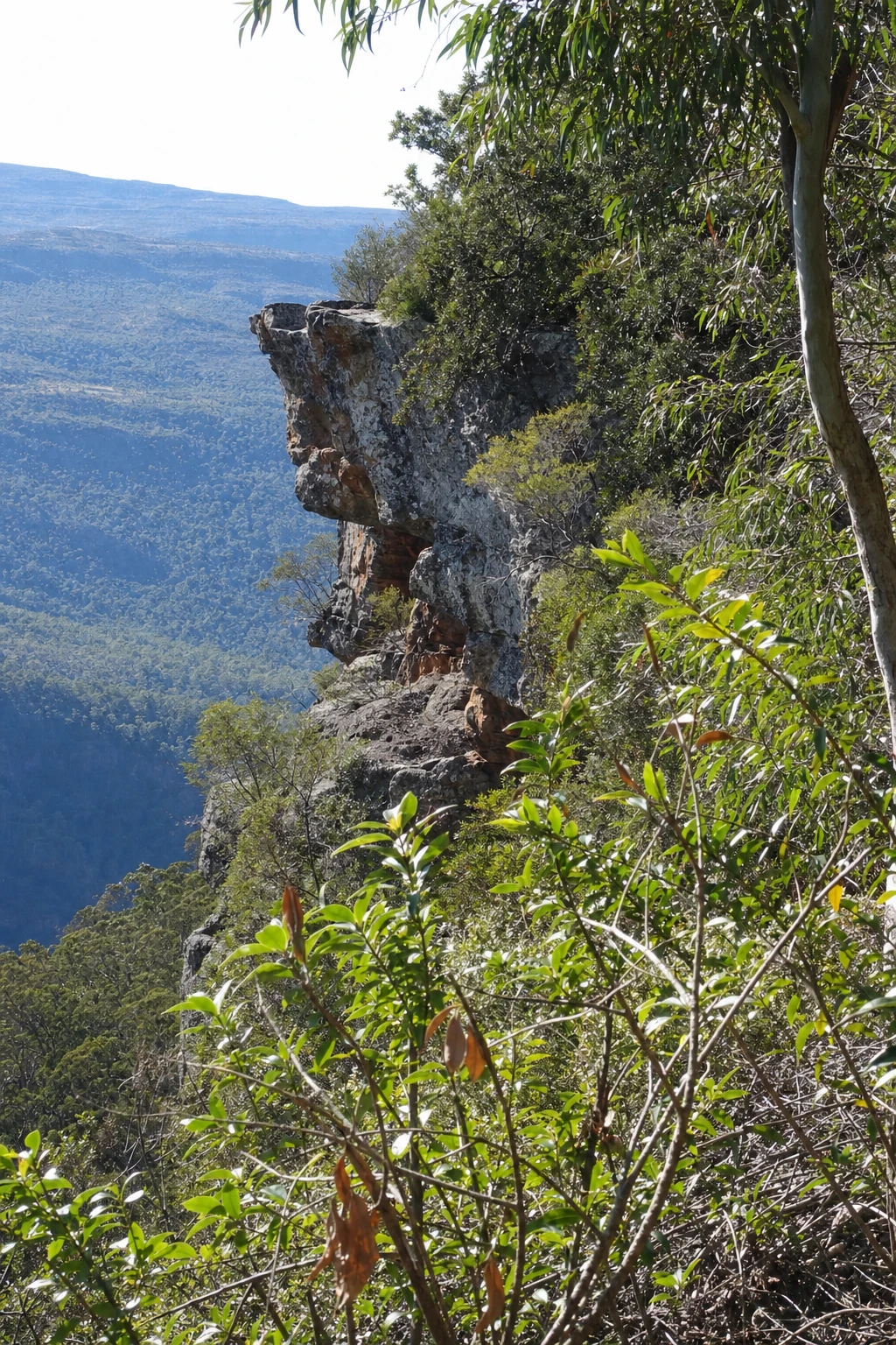 How do we balance the relentless sharpness of human ambition with nature’s unyielding edges? Sometimes the contrast reveals the true texture of coexistence.