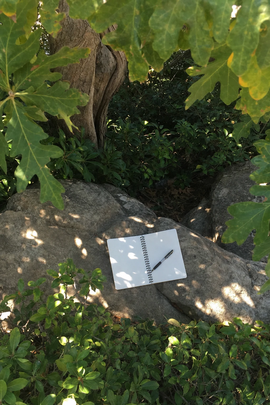 Quiet moments of focus shape the textures of a day—each task a pattern, each pause an invitation to listen deeper.