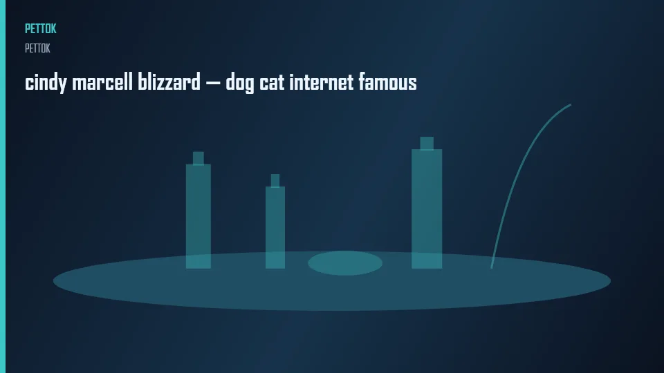 cindy marcell blizzard — dog cat internet famous
