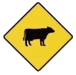 Beware Of Sheep