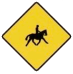 Accompanied Horses & Ponies