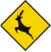 Beware Of Dear Or Wild Animals