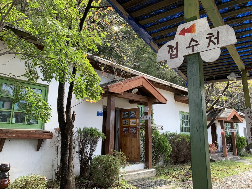 세종현대운전면허학원의 깔끔하게 관리된 교육용 차량들