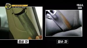 안전벨트 확인 안전벨트 확인