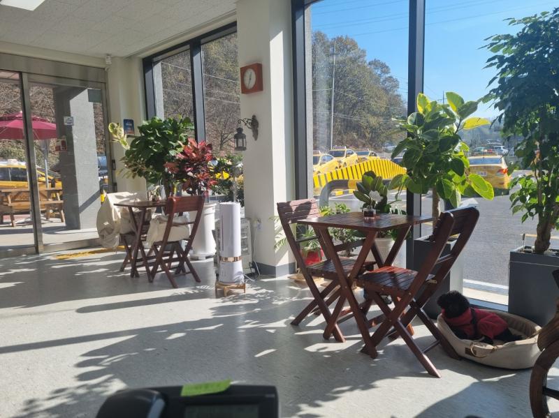 운전면허학원 셔틀버스로 사용되는 노란색 승합차