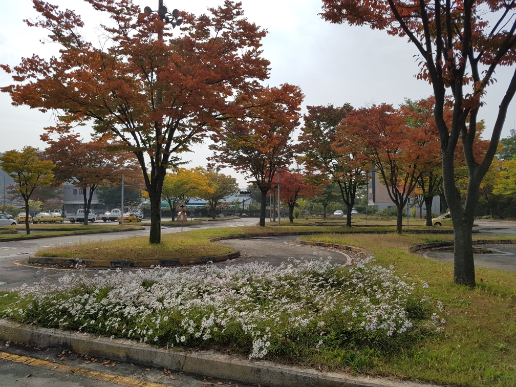 운전면허학원 기능시험장에서 교육 중인 자동차의 모습