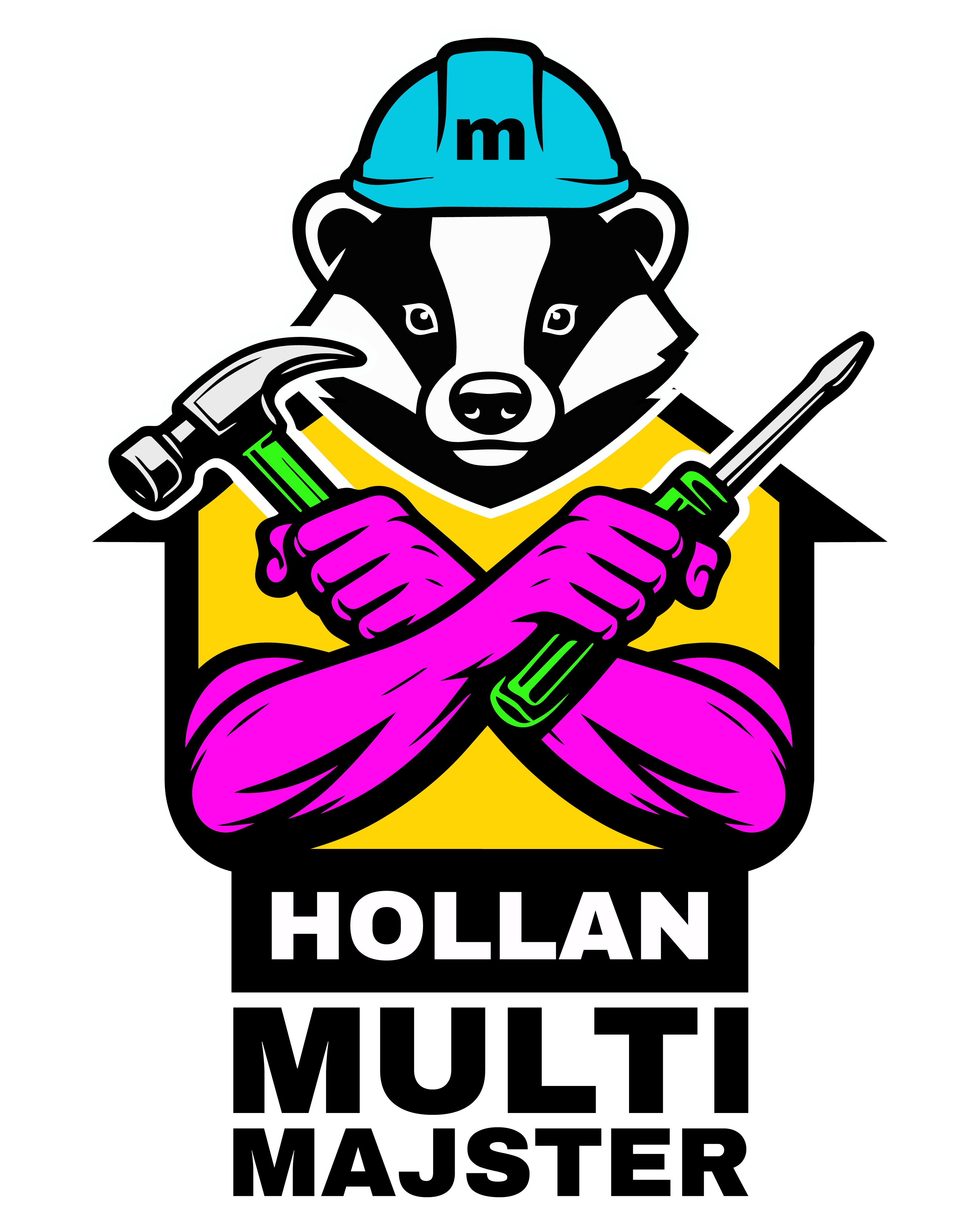 Vladimir Hollan