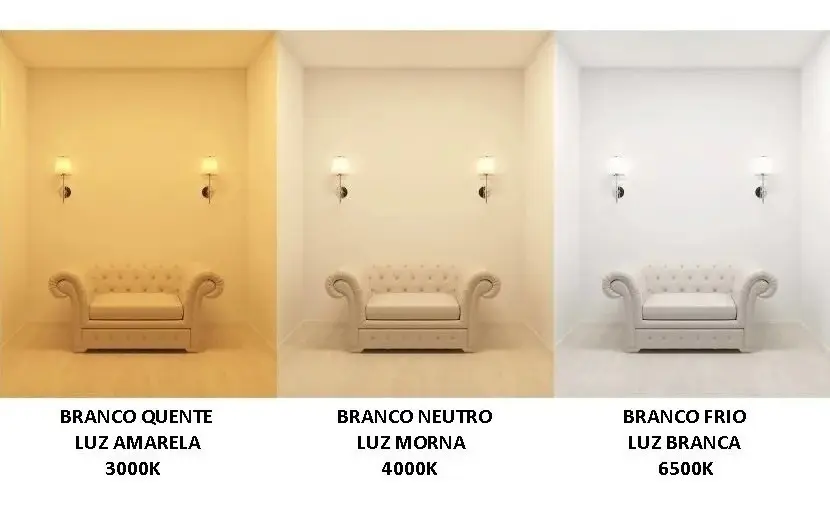 Refletor Holofote Led 50w Luz Branca 6500k Ip65 Blumenau Carcaça Preto Luz Branco-frio 127/220v 4