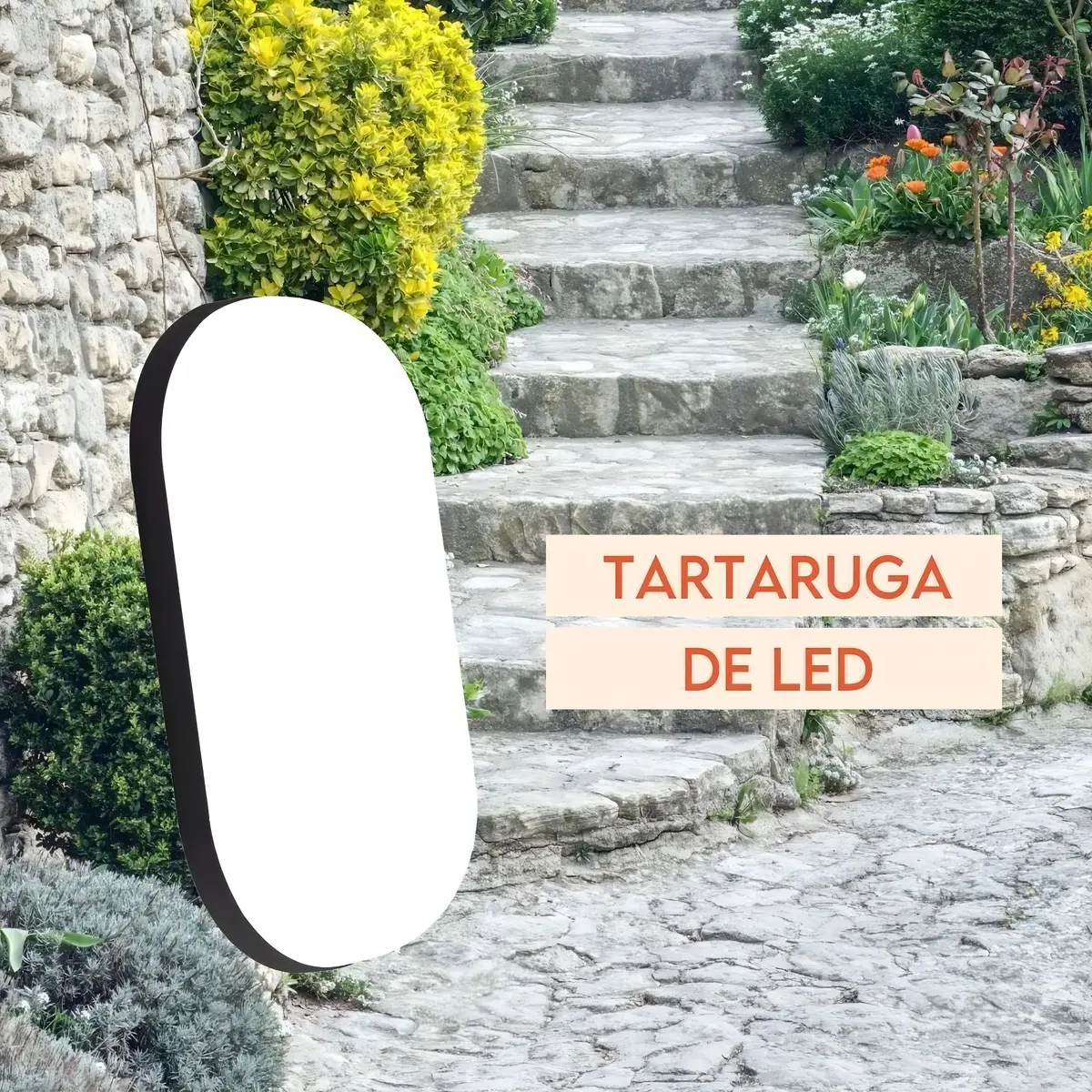 Arandela Tartaruga Led Preta 12w Branco Frio 6000k Ip65 Gaya Cor Preto 110v/220v 2