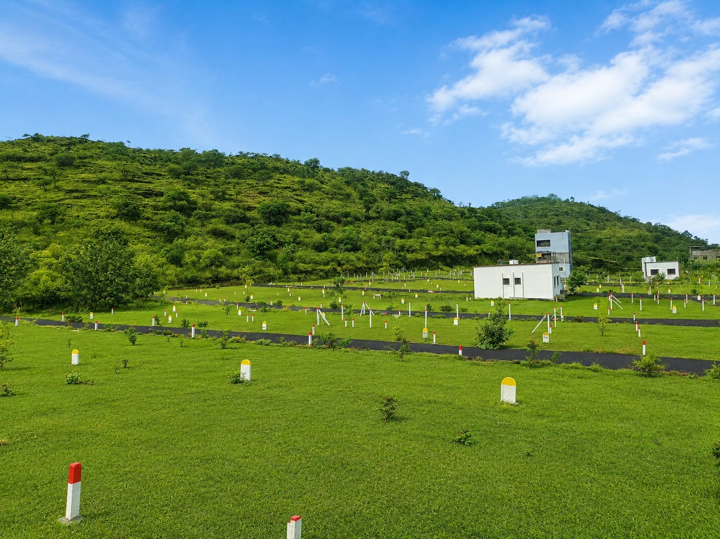 Green city view 2