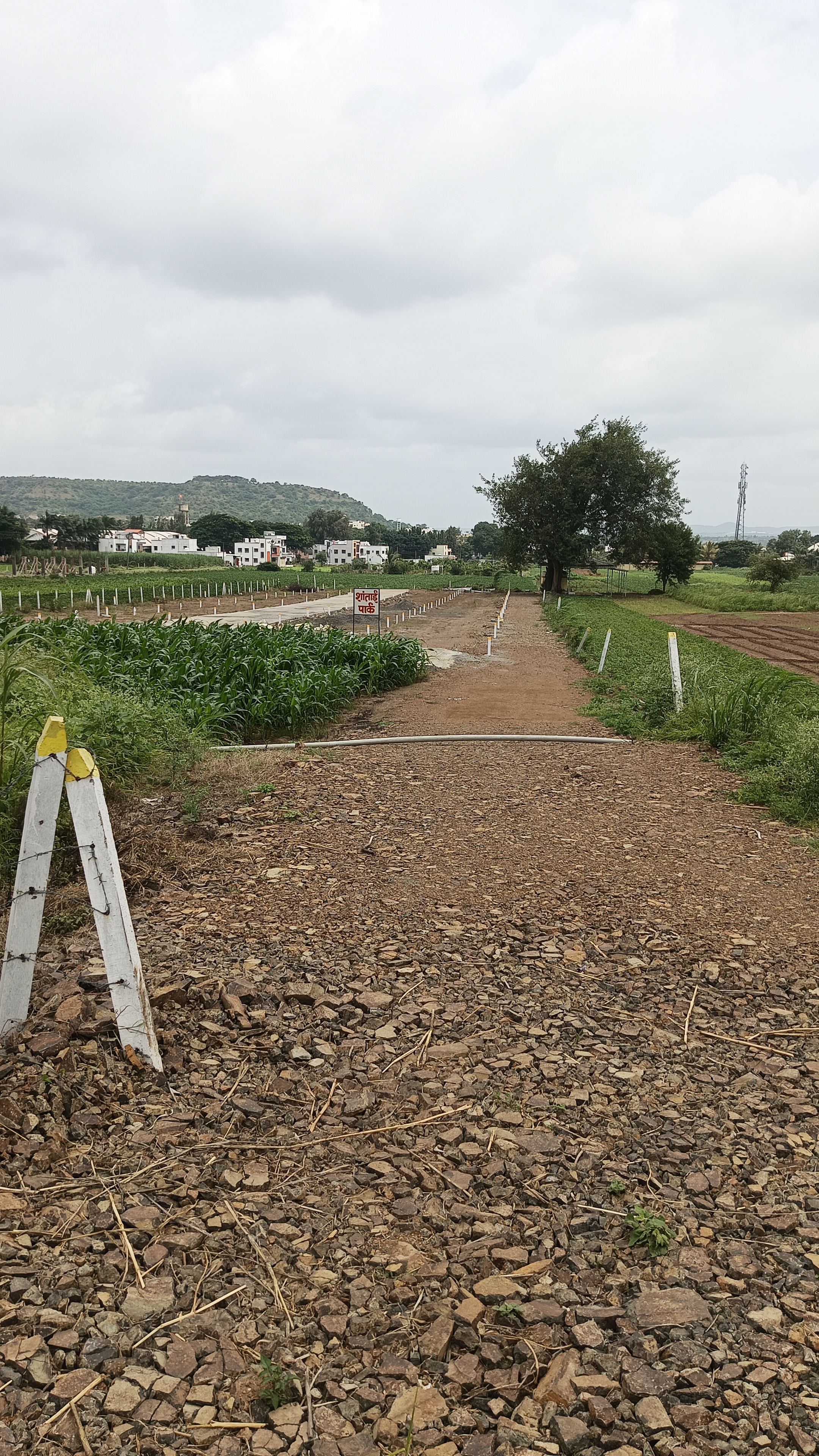 Shantai Park view 3