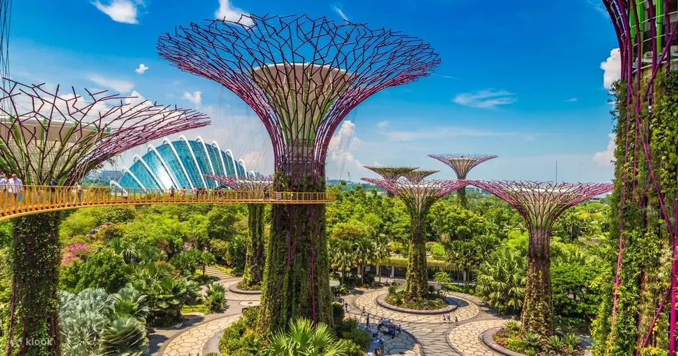 Marina By the Bay (Observation Deck) + Garden By the Bay (Flower Dome + Cloud Forest with Jurassic World Experience)