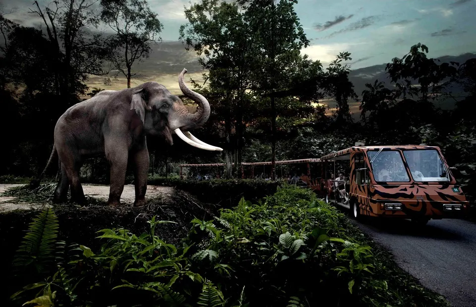 Arrival In Singapore + Night Safari