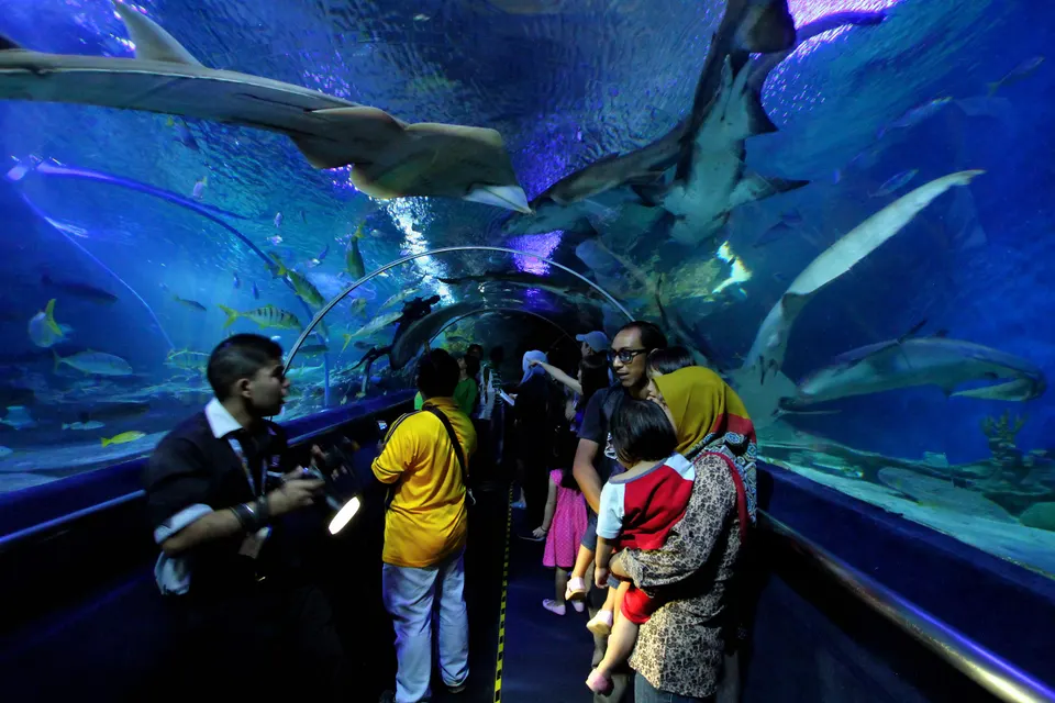 Half-Day KLCC Aquaria