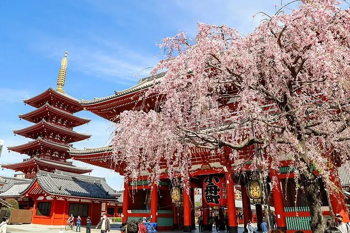 Tokyo Full-Day Guided City Tour | 10 Hours