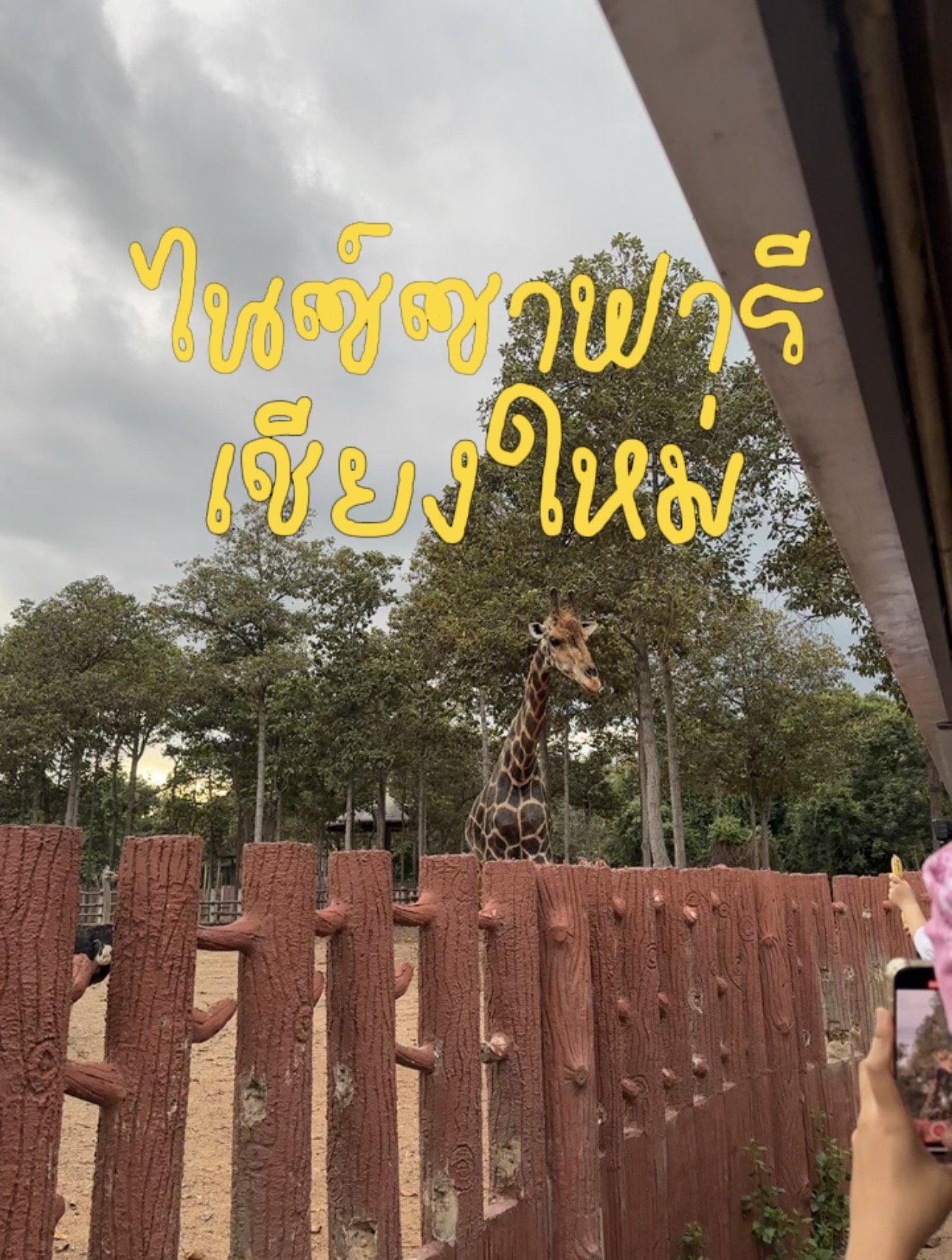 ผลงานจาก Dus Phm