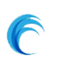 DSN Infotech Logo