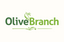 Olive Branch