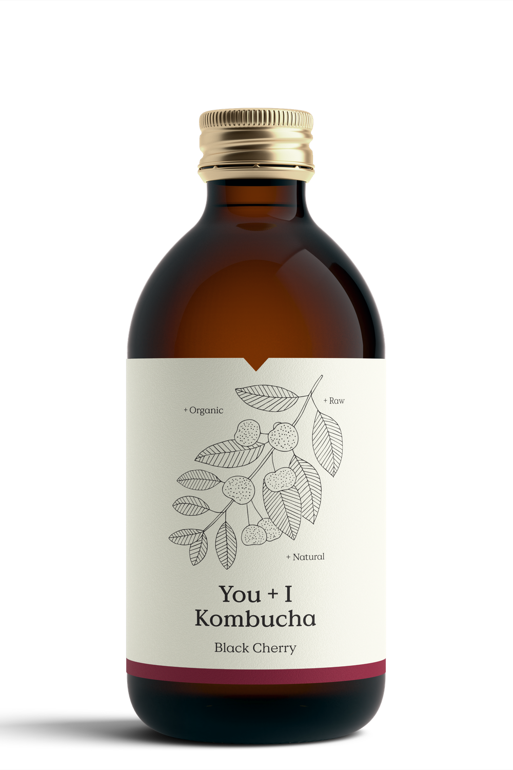 Black Cherry Kombucha