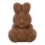 Easter Bunny Milk Chocolate Bombe with Micro-Mallows