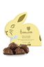 Caramel Milk Chocolate Golden Bunny Box