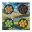 Spring Selection Box - 4 Flavours