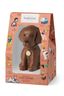 Milk Chocolate Dog