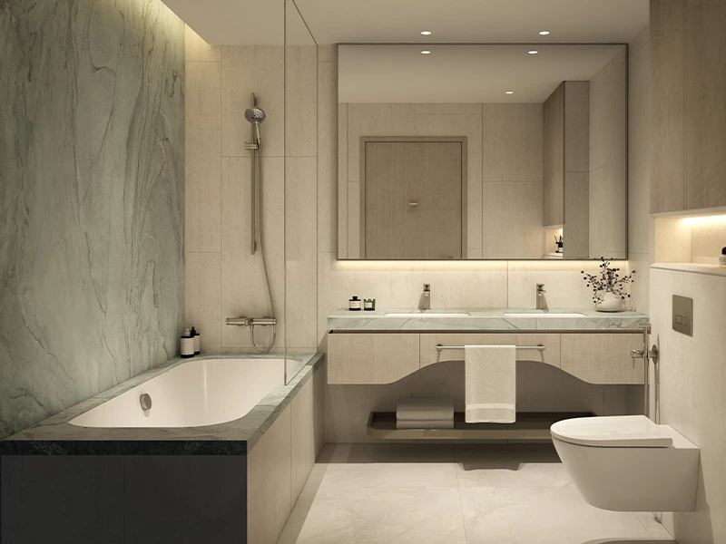 1 BR Apartment image 3