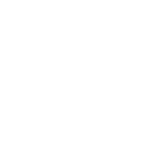 Dubai South Logo