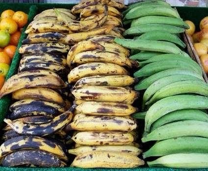 Banane plantain/alloco
