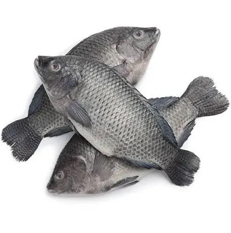 Poisson carpe