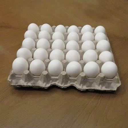 Packs d’œuf
