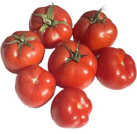 Tomates