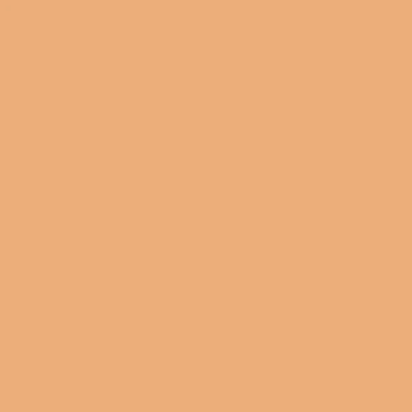 Iman Skin Tone Evener BB Crème Clay Medium