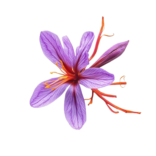 Saffron