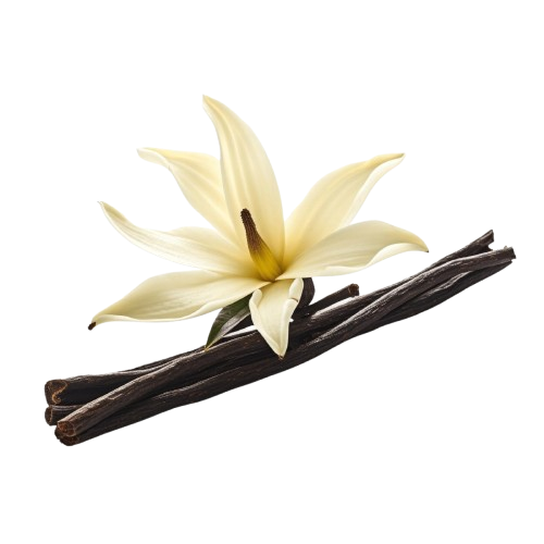 Vanilla