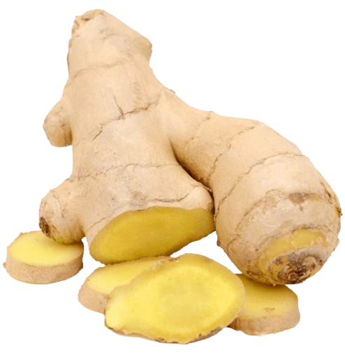 Ginger