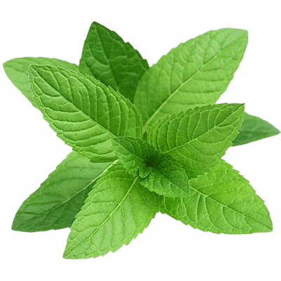 Mint