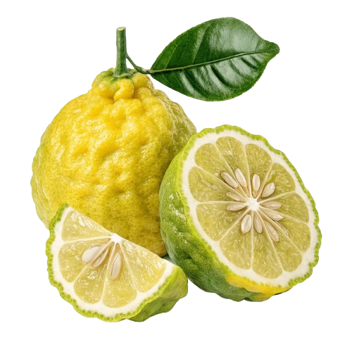 Bergamot