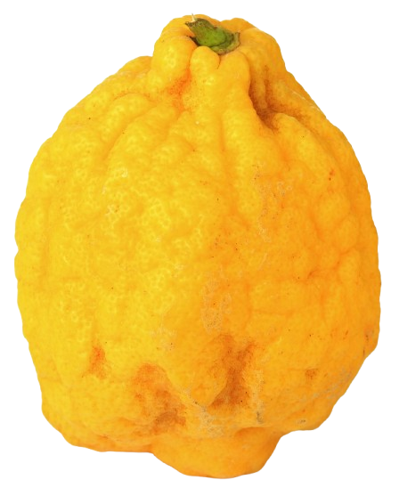 Citron