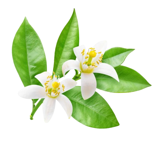 Neroli