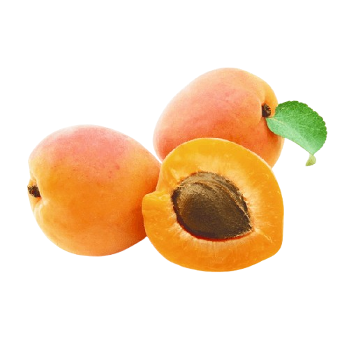 Apricot