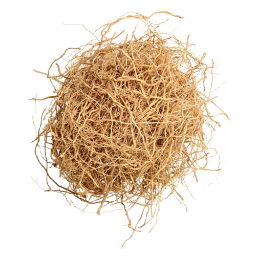 Vetiver