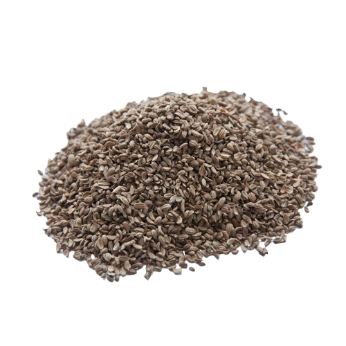 Carrot Seeds