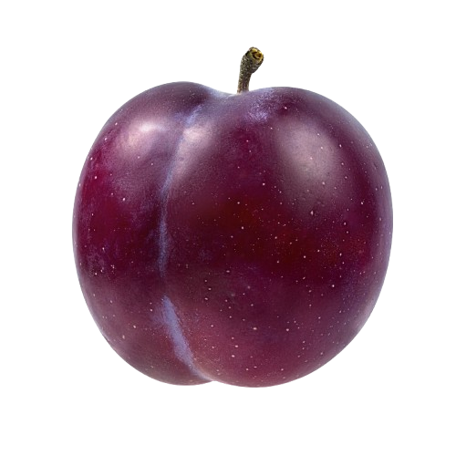 Plum