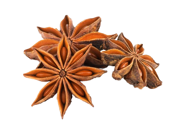 Star Anise