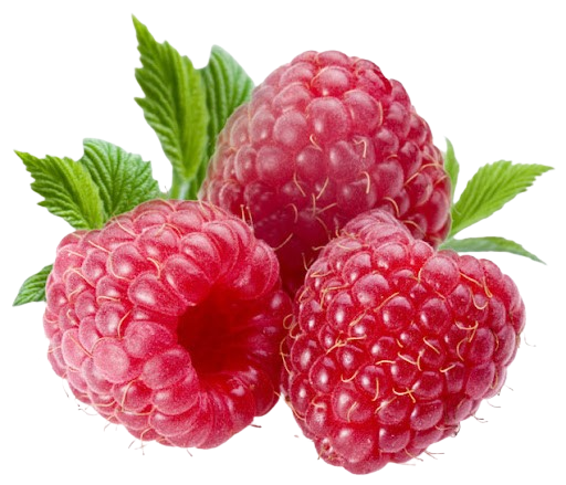 Raspberry