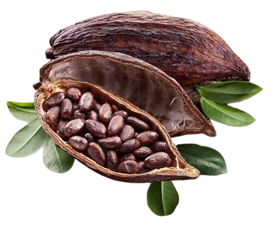 Cacao Pod