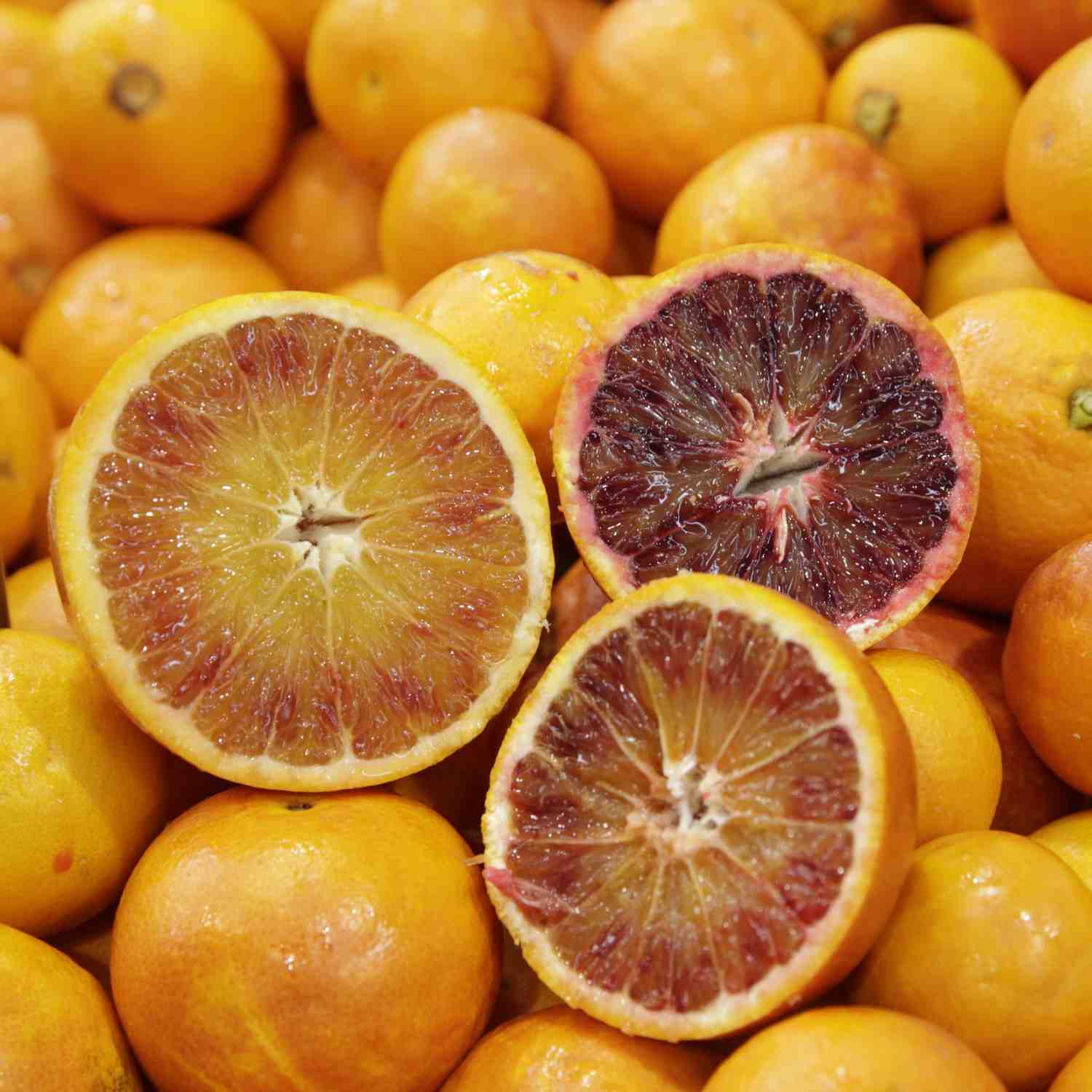 Scilian Orange